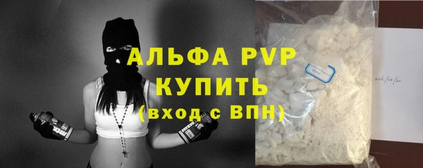 a pvp Бородино