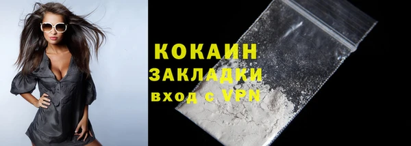 a pvp Бородино