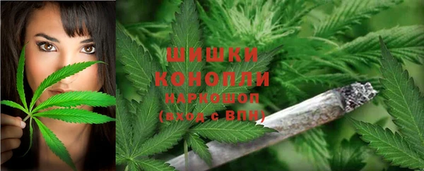 эйфоретик Бронницы
